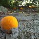 Image for article titled Shooting Challenge: Cellphone Gallery Part 8